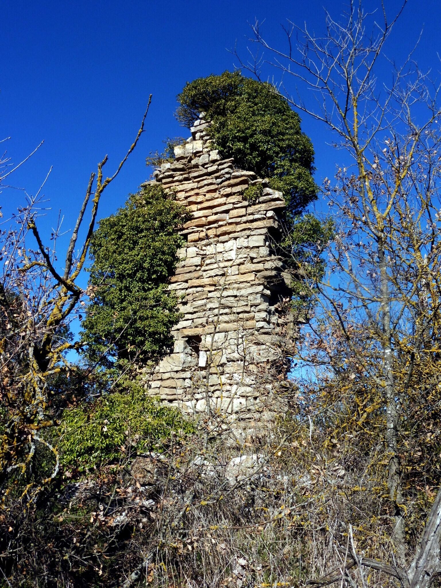 Castell de Montesquiu (Pujalt) This is a photo of a monument indexed in the Spanish heritage register of Bienes de Interés Cultural under the reference RI-51-0005610.