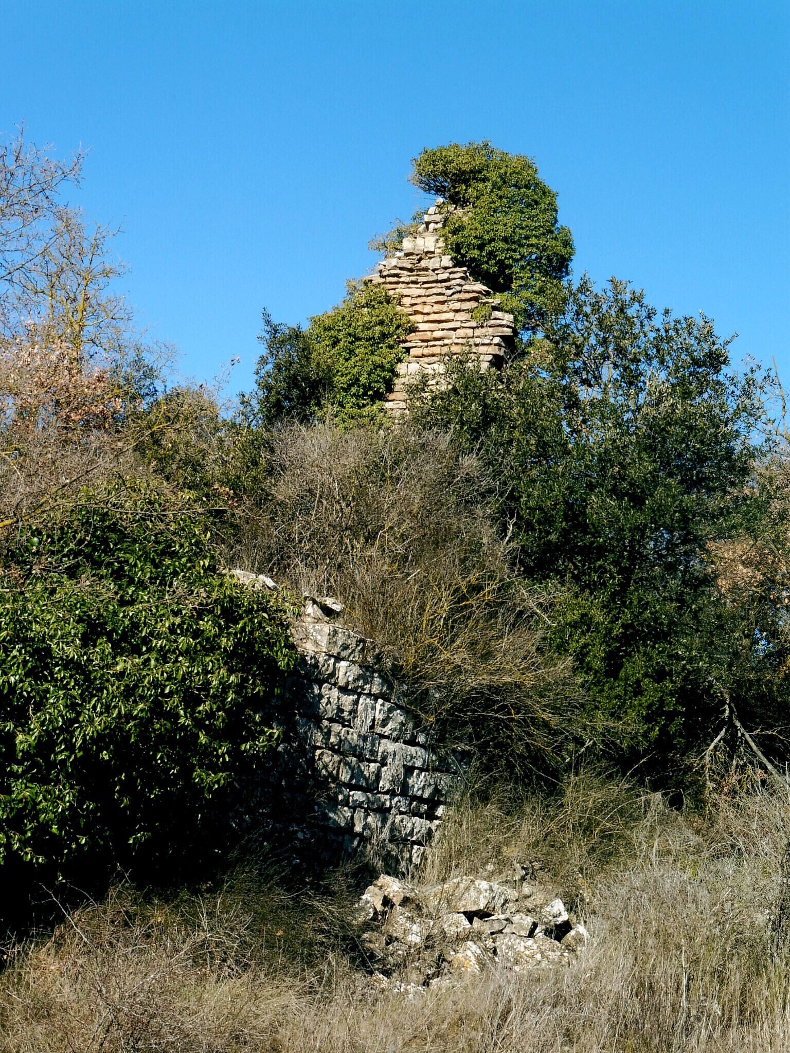 Castell de Montesquiu (Pujalt): restes This is a photo of a monument indexed in the Spanish heritage register of Bienes de Interés Cultural under the reference RI-51-0005610.