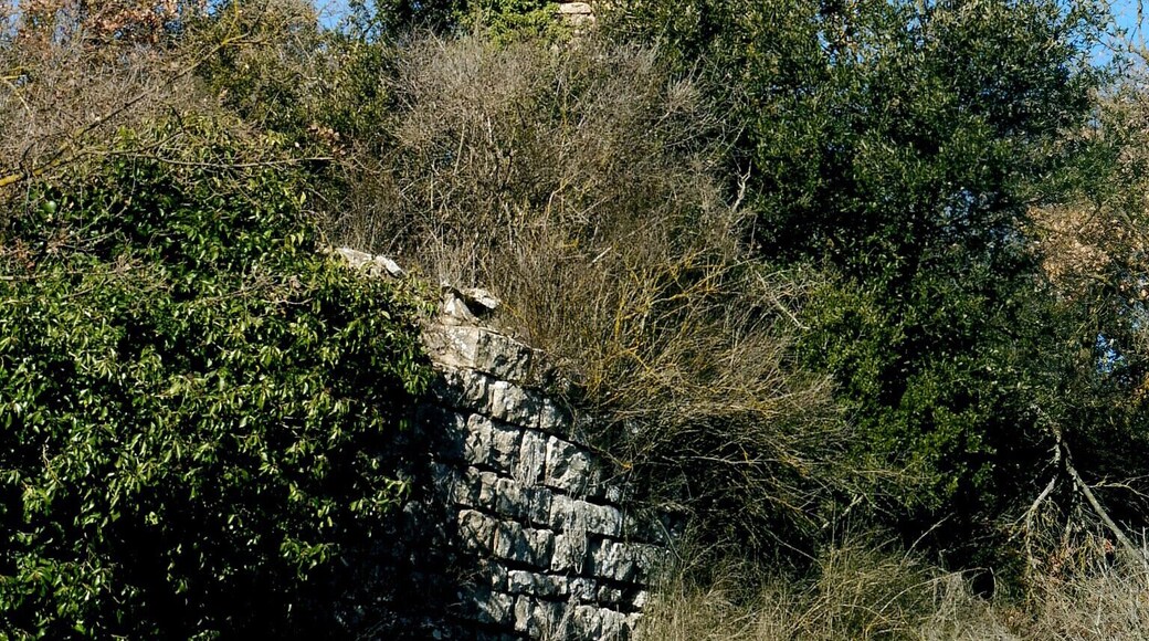 Castell de Montesquiu (Pujalt): restes This is a photo of a monument indexed in the Spanish heritage register of Bienes de Interés Cultural under the reference RI-51-0005610.