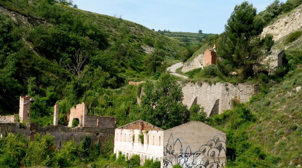 Cal Boixacs (Calonge de Segarra)