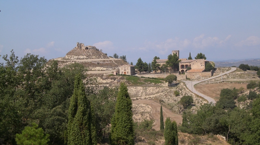 Calonge de Segarra (setembre 2008)