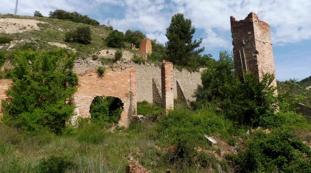 Cal Boixacs (Calonge de Segarra): forns