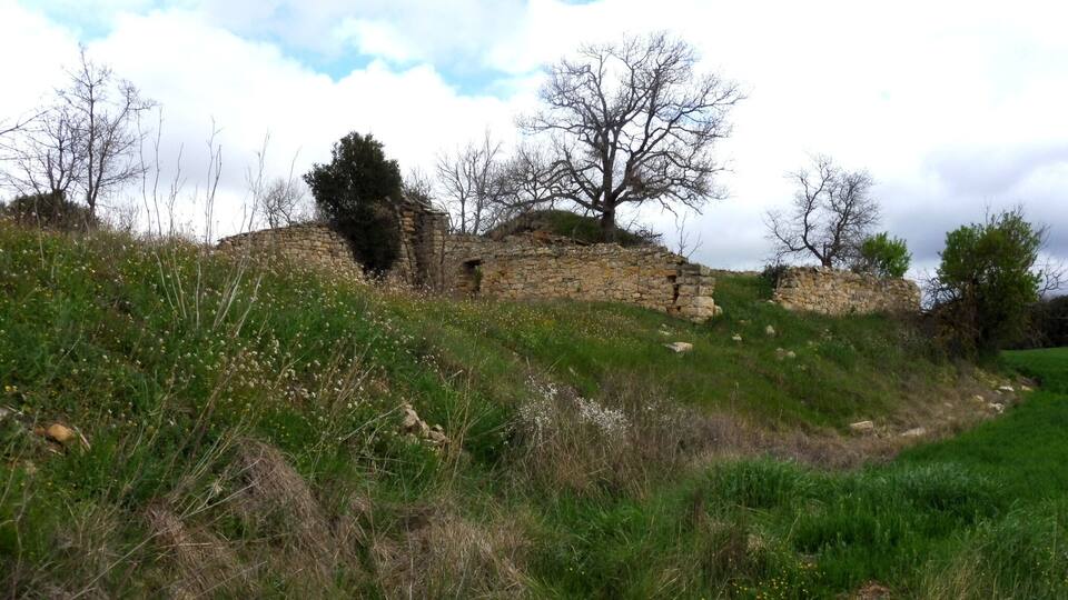 A grassy hillside with stone ruins and leafless trees under a partly cloudy sky.