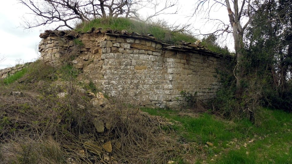 A stone wall with vegetation growing on top, surrounded by trees and grass.