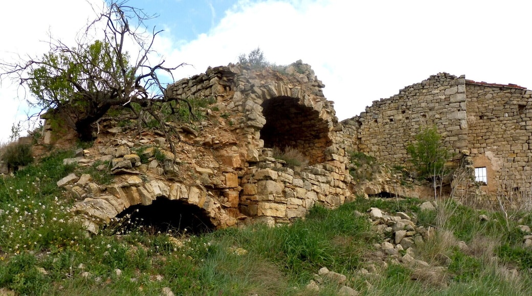 Castell de PuigdemĂ ger (els Prats de Rei)