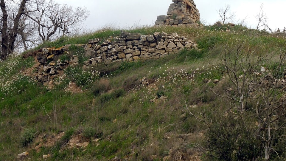 A stone structure on a grassy hill with wildflowers.