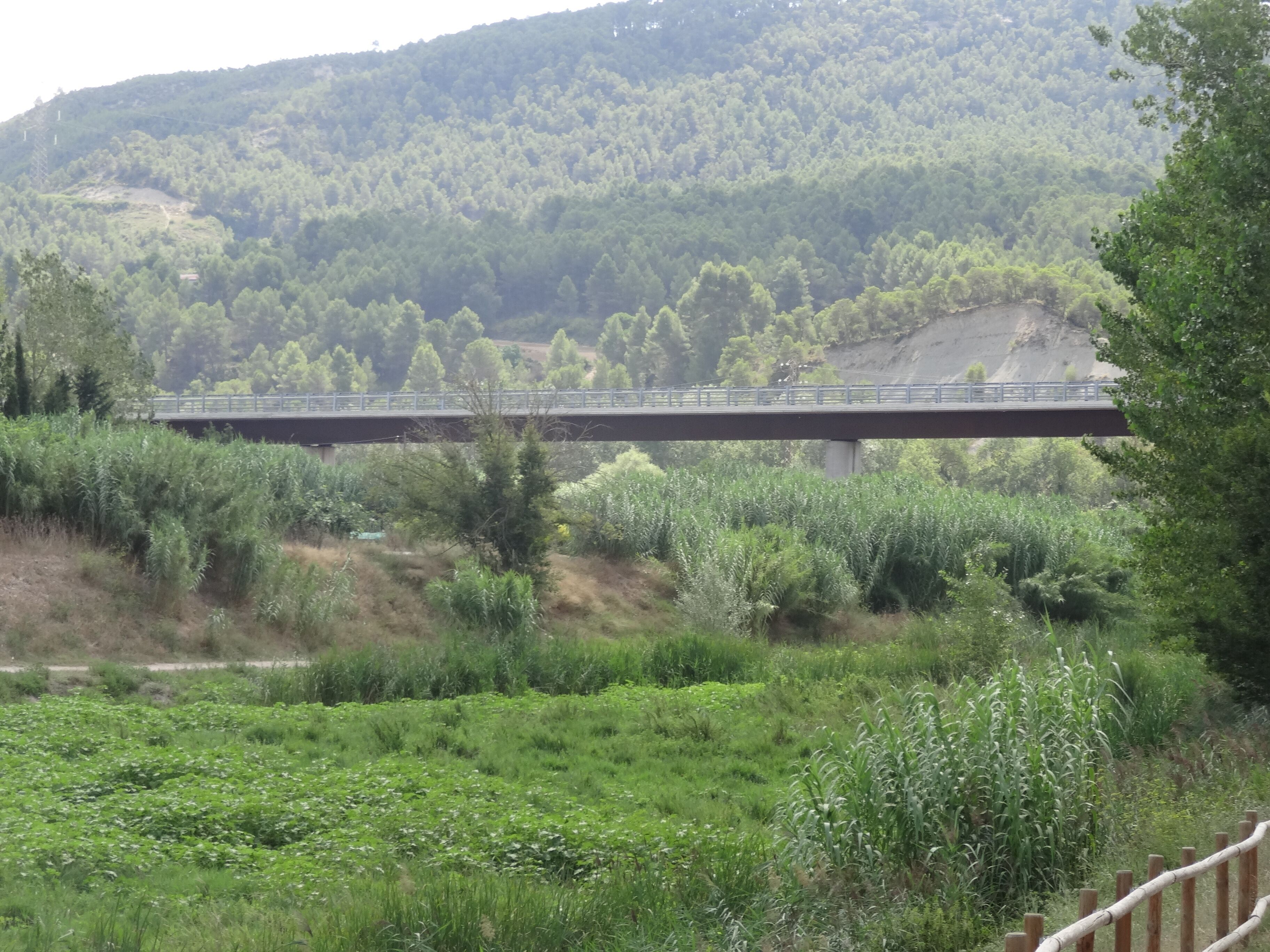 Pont de la ronda sud d'Igualada sobre el riu Anoia (terme municipal de Vilanova del Camí). Tram inaugurat el 2010.