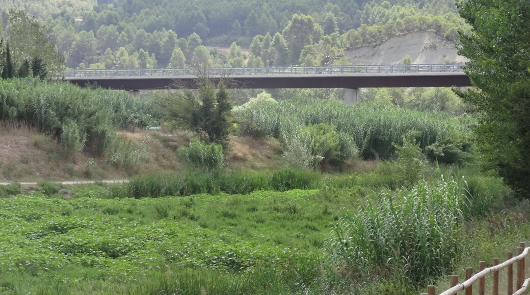 Pont de la ronda sud d'Igualada sobre el riu Anoia (terme municipal de Vilanova del Camí). Tram inaugurat el 2010.