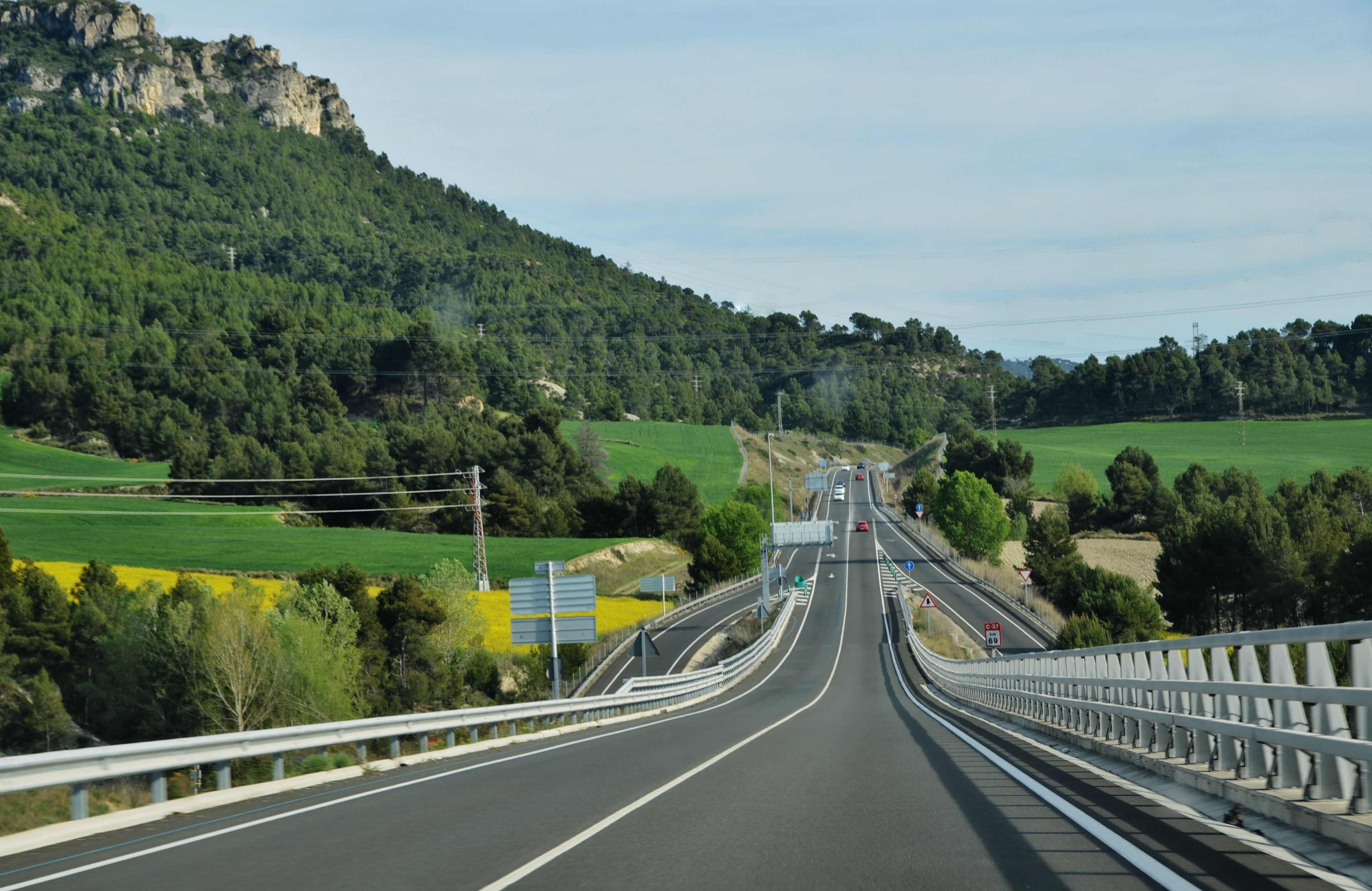 A highway with guardrails, green fields, and a forested mountain in the background.