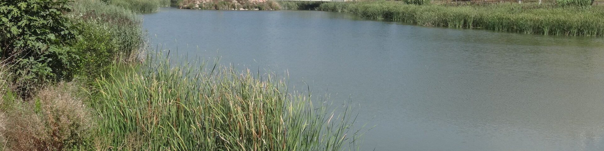 Parc Fluvial de Vilanova del Camí