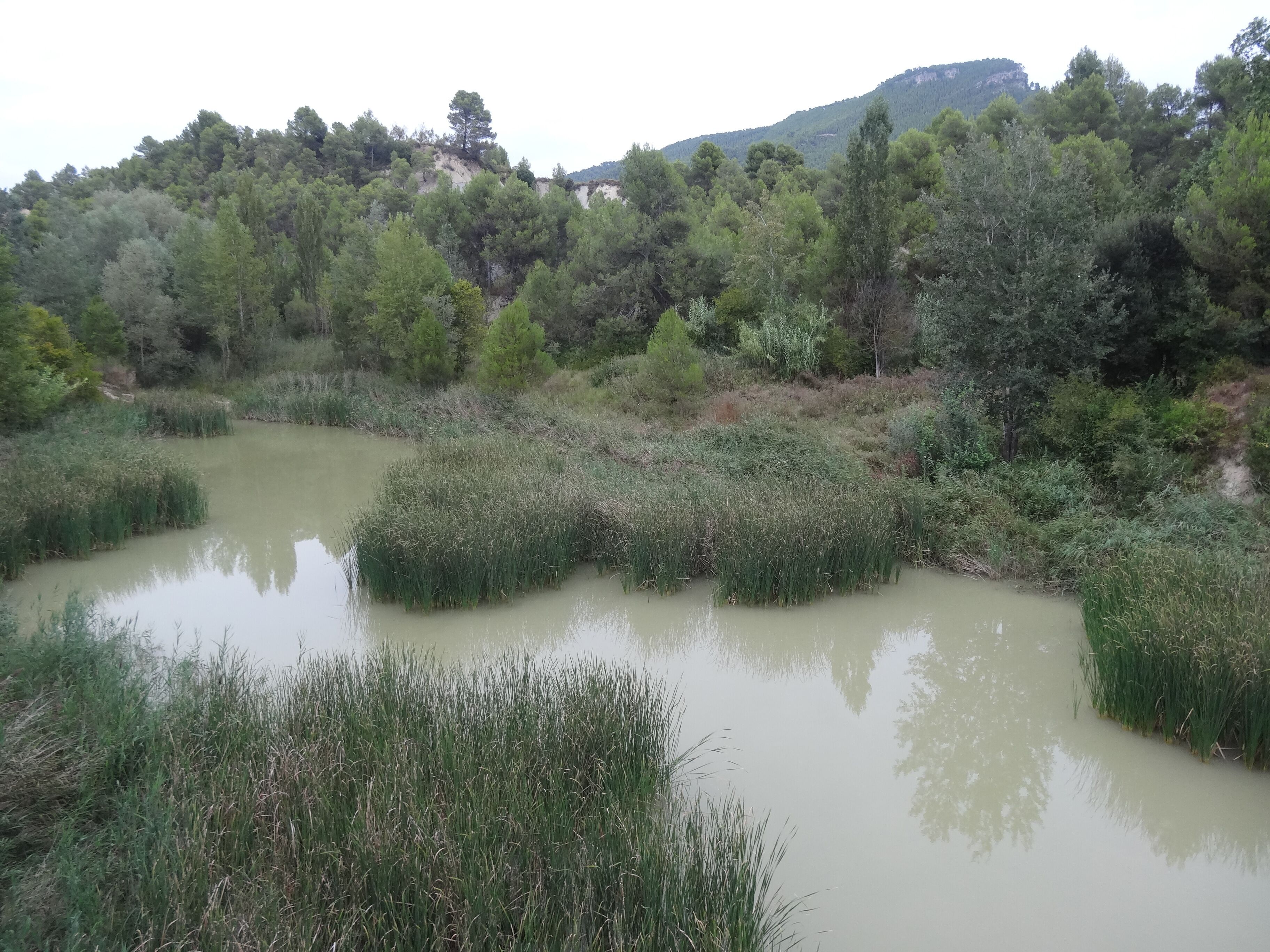 Pantà de Can Macià - Òdena