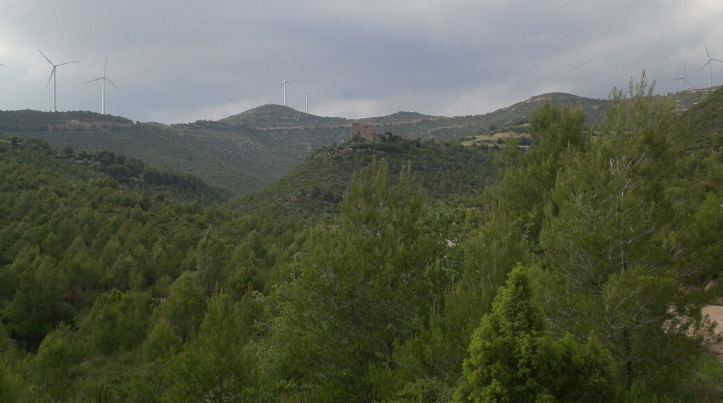 Puigbufer, Òdena (maig 2012)