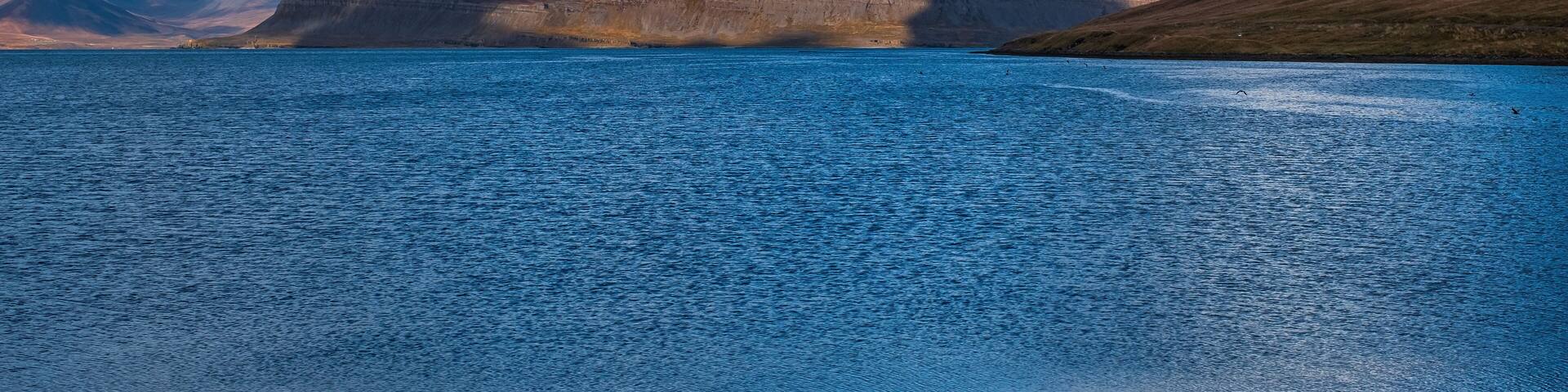 Arnarfjordur, Arnars fjord, Bildudalur, Iceland. Sunny day in september 2019
