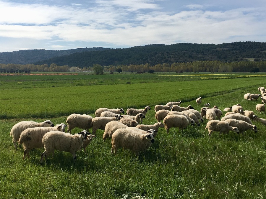 Entre Quintanilla del Agua y Puentedura
