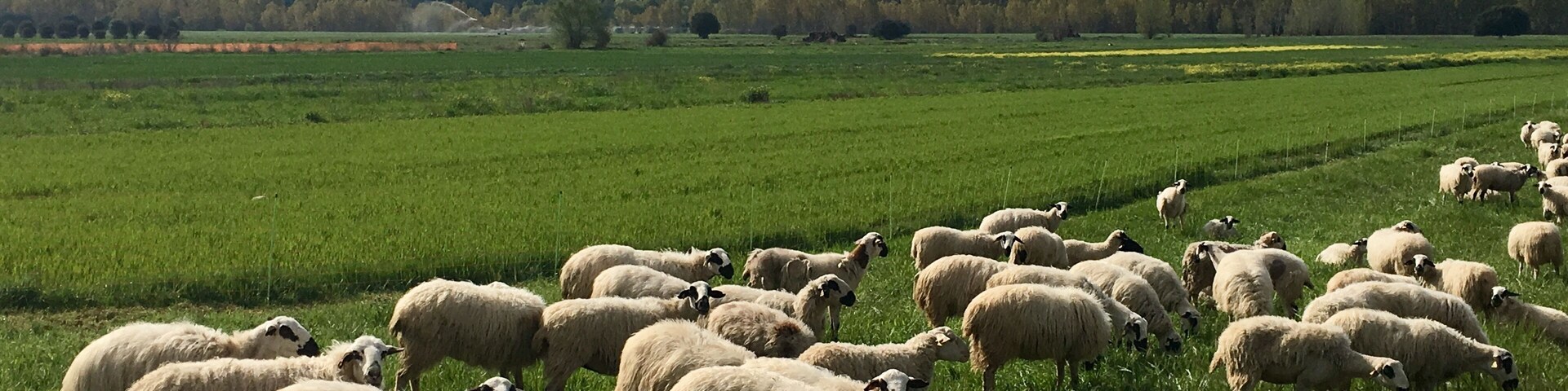 Entre Quintanilla del Agua y Puentedura