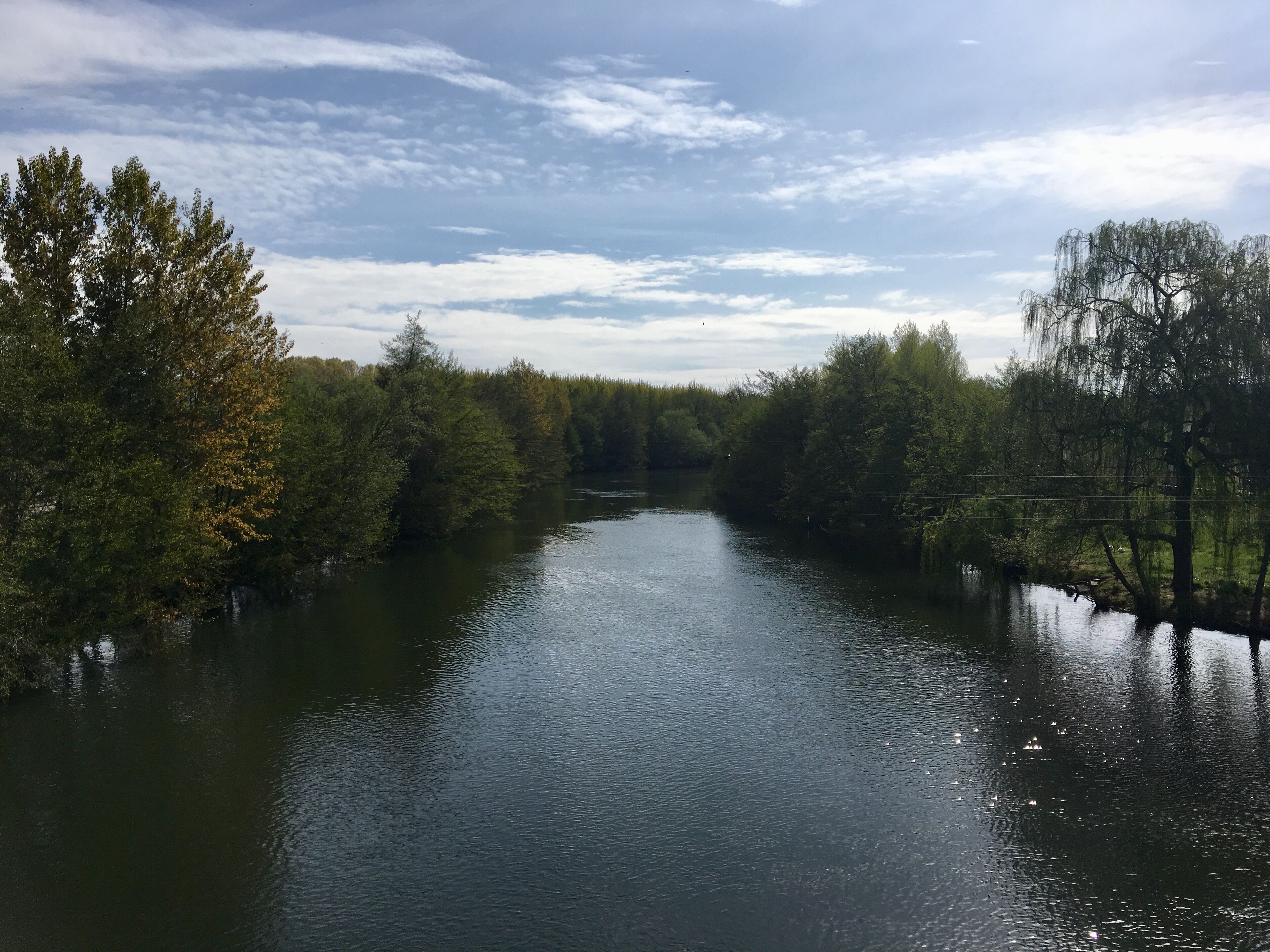A river flanked by dense trees under a partly cloudy sky.