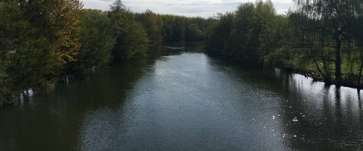 A river flanked by dense trees under a partly cloudy sky.