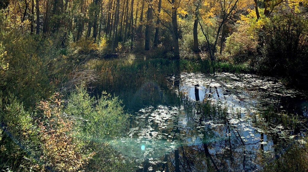 Enjoying the fall!
#nature #LifeAtExpediaGroup #fallfoliage