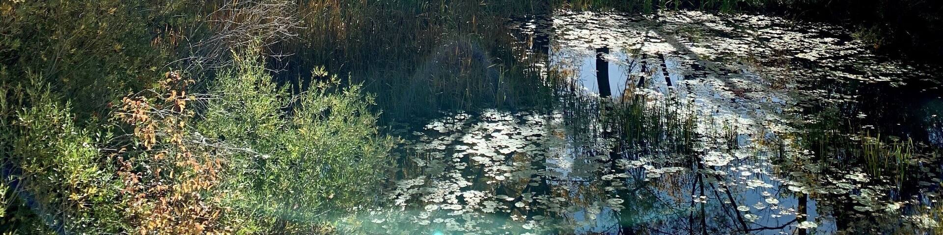 Enjoying the fall!
#nature #LifeAtExpediaGroup #fallfoliage