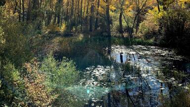 Enjoying the fall!
#nature #LifeAtExpediaGroup #fallfoliage