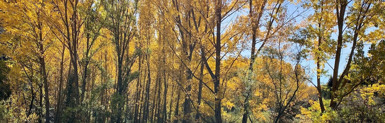 Enjoying the fall! 
#nature #LifeAtExpediaGroup #fallfoliage