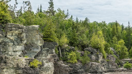 The Indian Head Cove in The Bruce Peninsula National Park, Ontario, Canada near The Grotto, Bruce trail, Georgian Bay Trail and Cyprus lake at Tobermory tourist attractions. Canadian staycation.