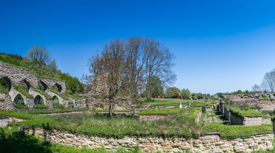 Ruins of Alvastra monastery from the middle ages in Ödeshög, Östergötland, Sweden