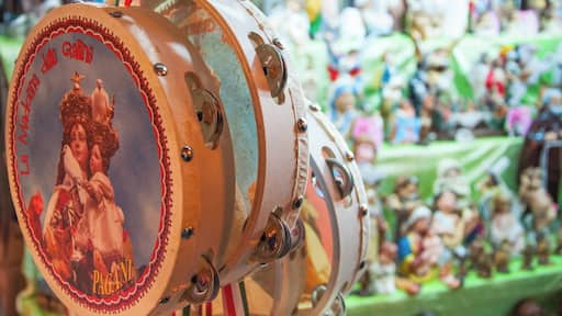 The feast of Saint Mary the Crowned of Mount Carmel, commonly known as Madonna delle Galline (Italian for Our Lady of the Hens), is a religious and civil festival annually celebrated in Pagani, Campania in commemoration of the finding of the miraculous Marian icon by some hens. During this week, people dance in the streets to folk songs called "Tammurriate".