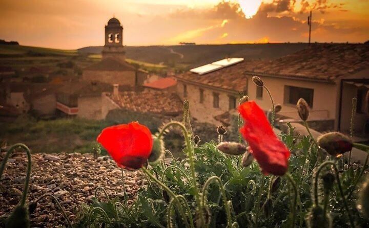 Sunset over the village of Hontanas 


By iPhone