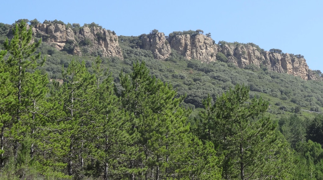 Roc del Pas de Finestres area