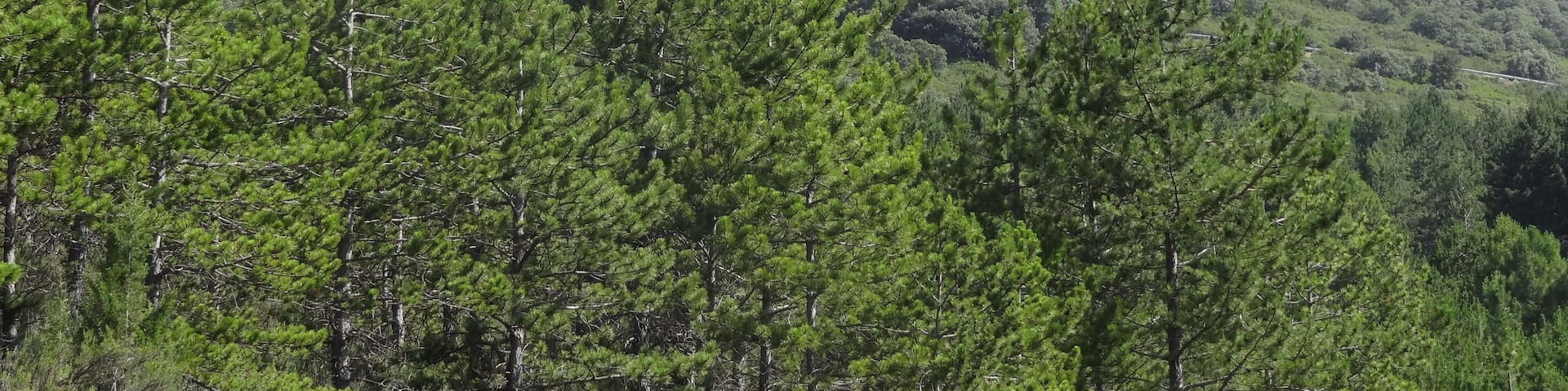 Roc del Pas de Finestres area