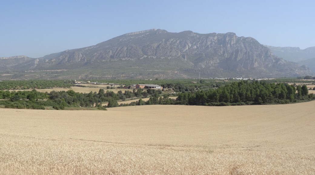 Carranua ( 1.626 m )