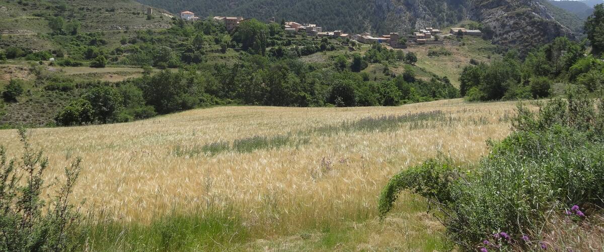 A mountainous landscape with a village nestled among the hills.