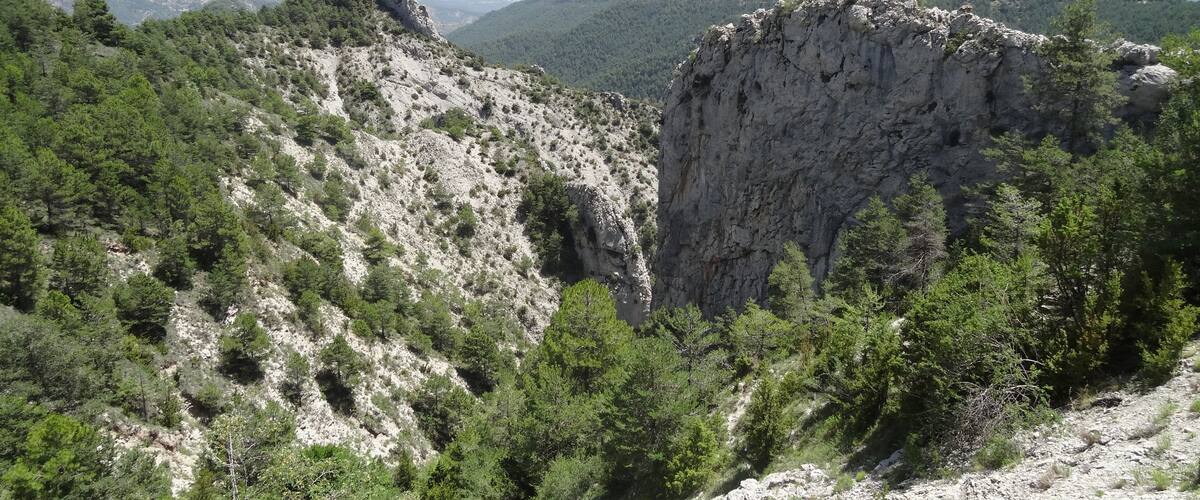 A rugged mountain landscape with dense forests and rocky outcrops.