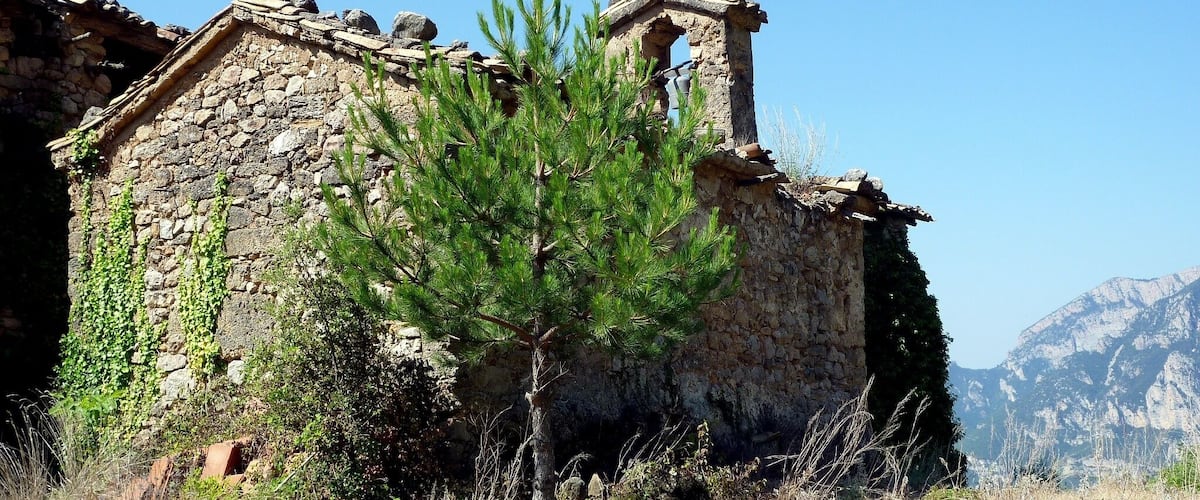 Església de Sant Joan de les Anoves (Oliana)
