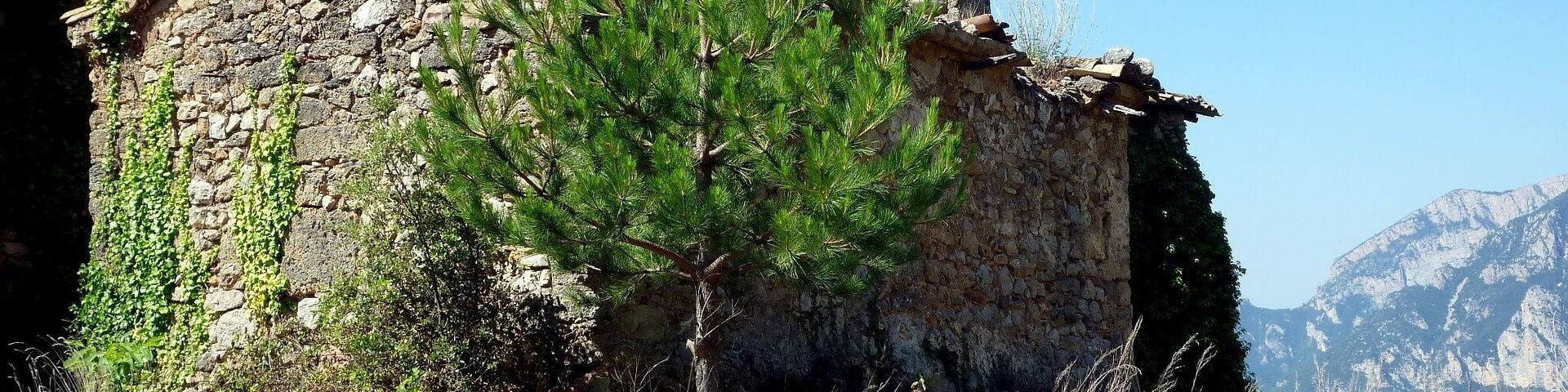Església de Sant Joan de les Anoves (Oliana)