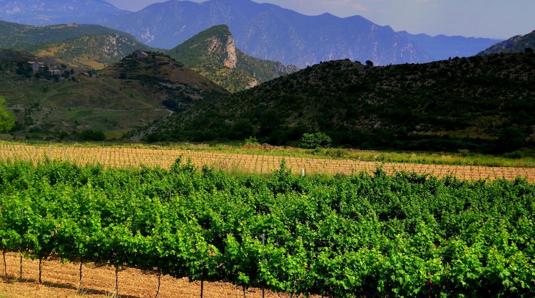 This is a a photo of a natural area in Catalonia, Spain, with id: