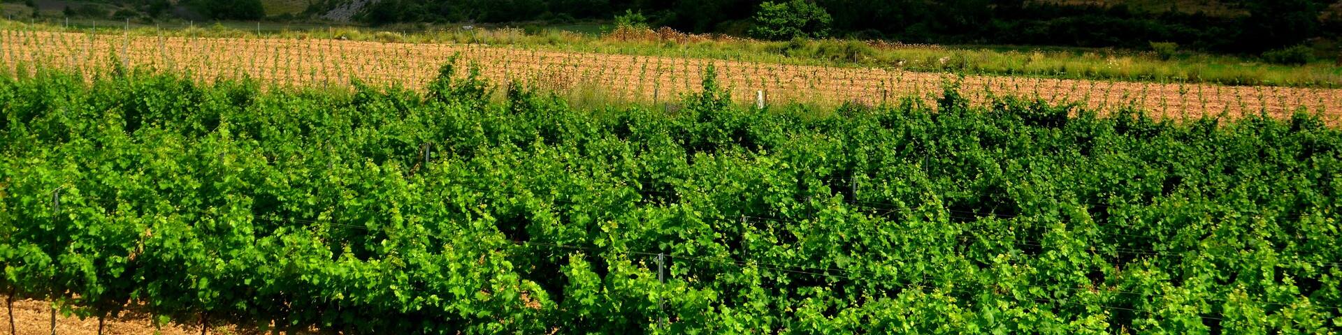 This is a a photo of a natural area in Catalonia, Spain, with id: