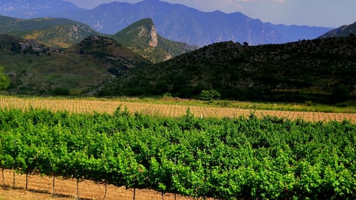 This is a a photo of a natural area in Catalonia, Spain, with id: