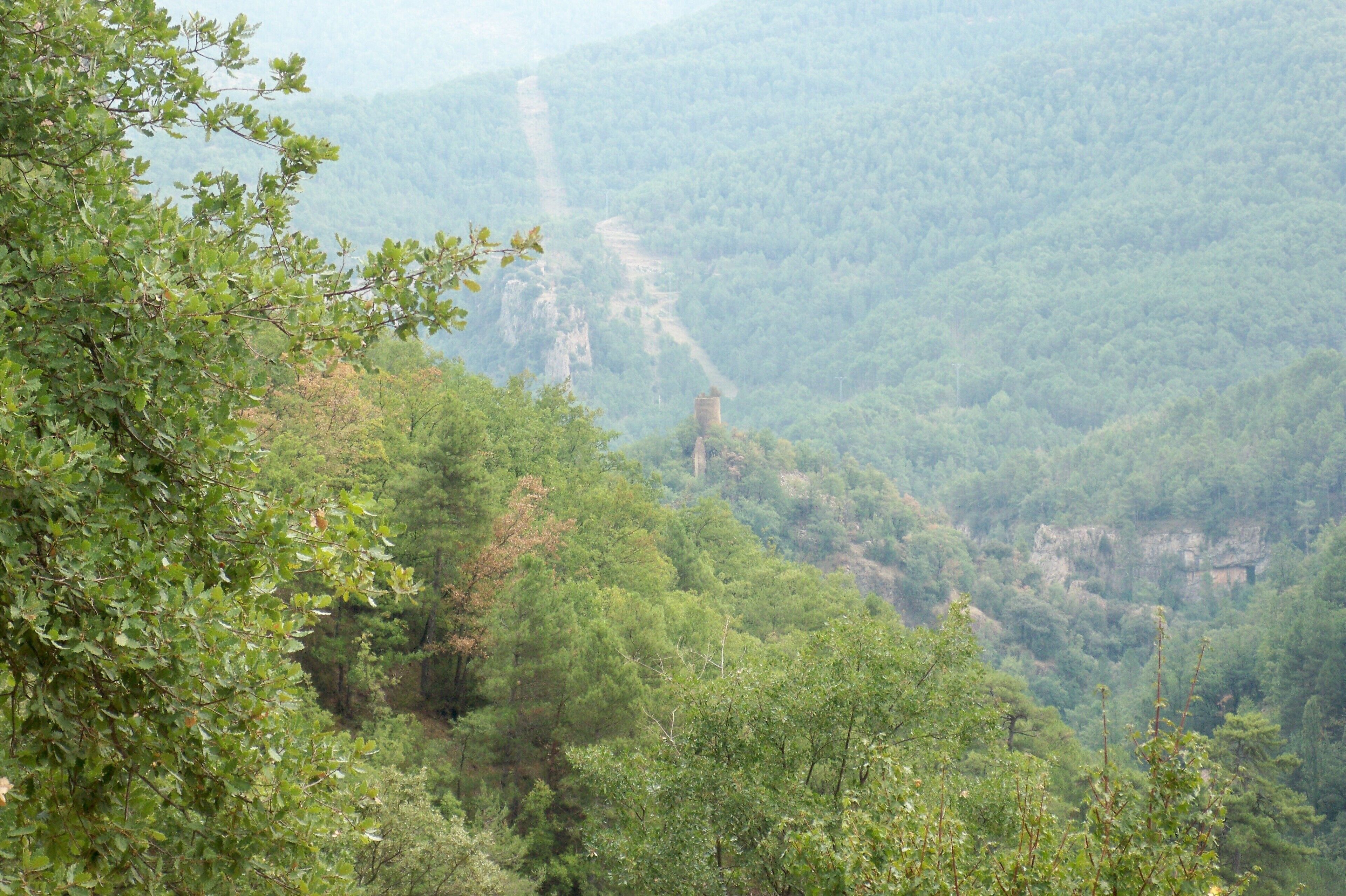 Vista del castell de Valldarques des de l'indret de l'Església Parroquial de Sant Romà de Valldarques on s'observa la torre circular i l'entorn est.