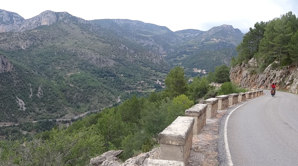 Fígols i Alinyà L-401