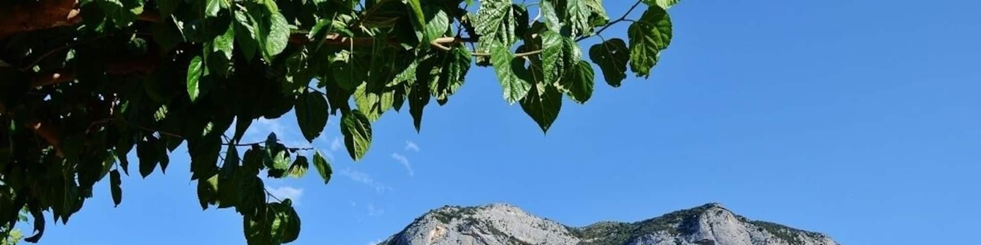 Església parroquial de Sant Víctor a Fígols d'Organyà (Fígols i Alinyà)