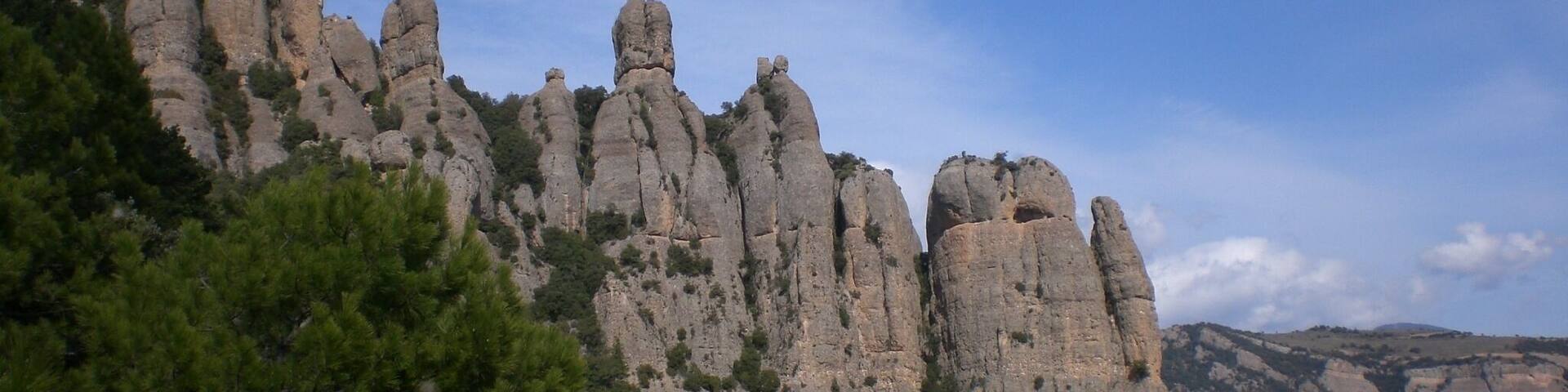 Les Encantades, Montserratines (abril 2010)