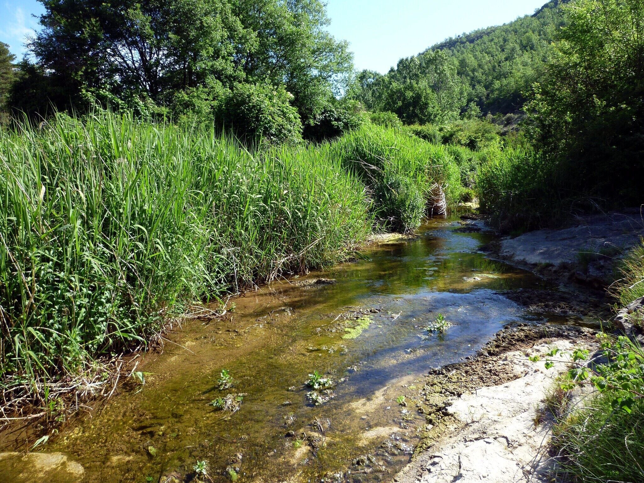 This is a a photo of a natural area in Catalonia, Spain, with id: