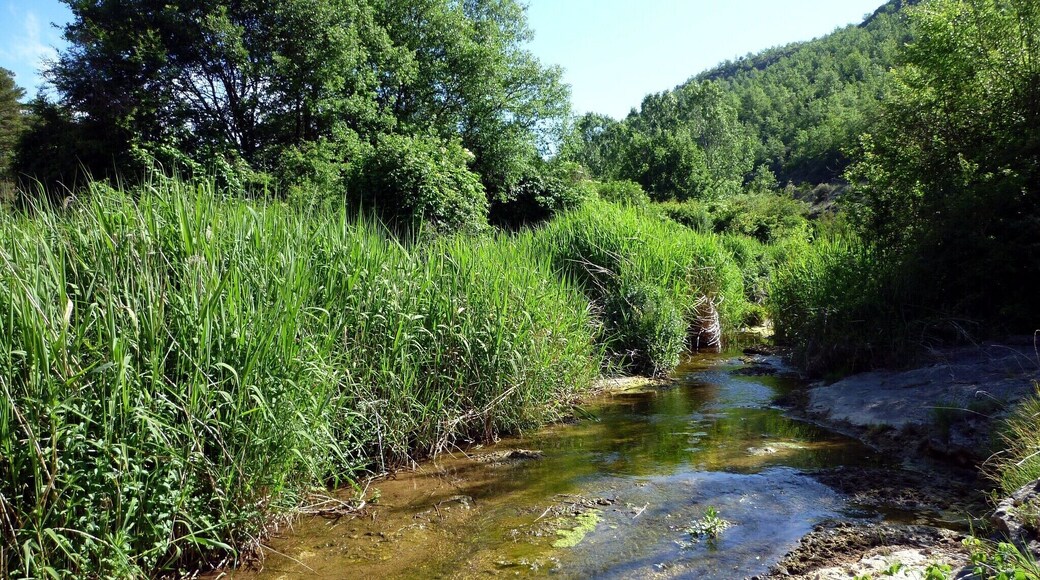 This is a a photo of a natural area in Catalonia, Spain, with id: