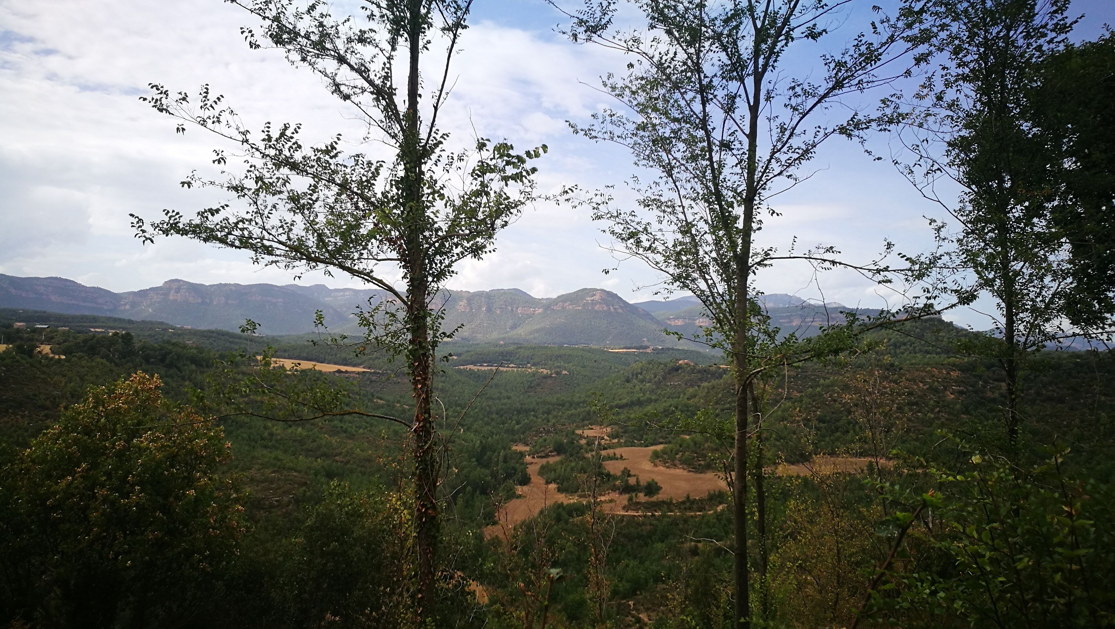 A mountainous landscape with dense forests and a river.