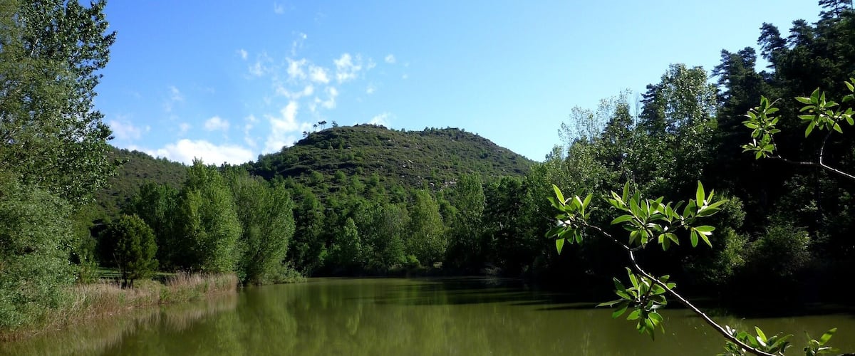 This is a a photo of a wetland in Catalonia, Spain, with id: