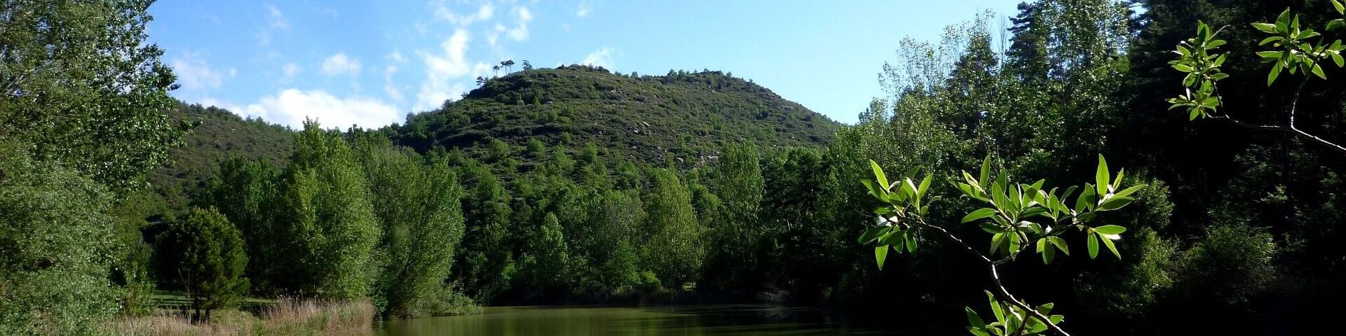 This is a a photo of a wetland in Catalonia, Spain, with id: