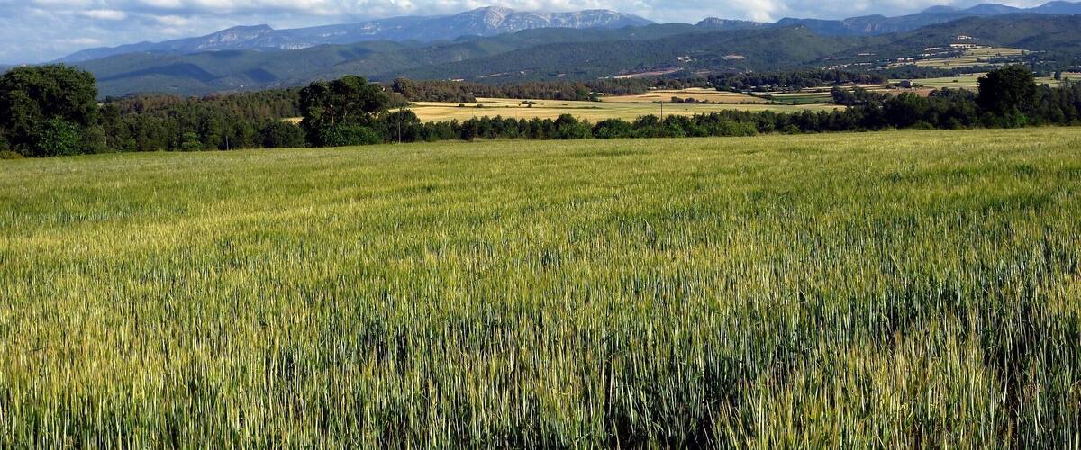 Església de Sant Andreu de Gargallà (Montmajor): vista del Berguedà des de Sant Andreu