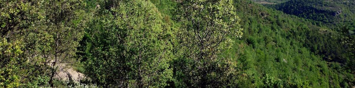 This is a a photo of a natural area in Catalonia, Spain, with id: